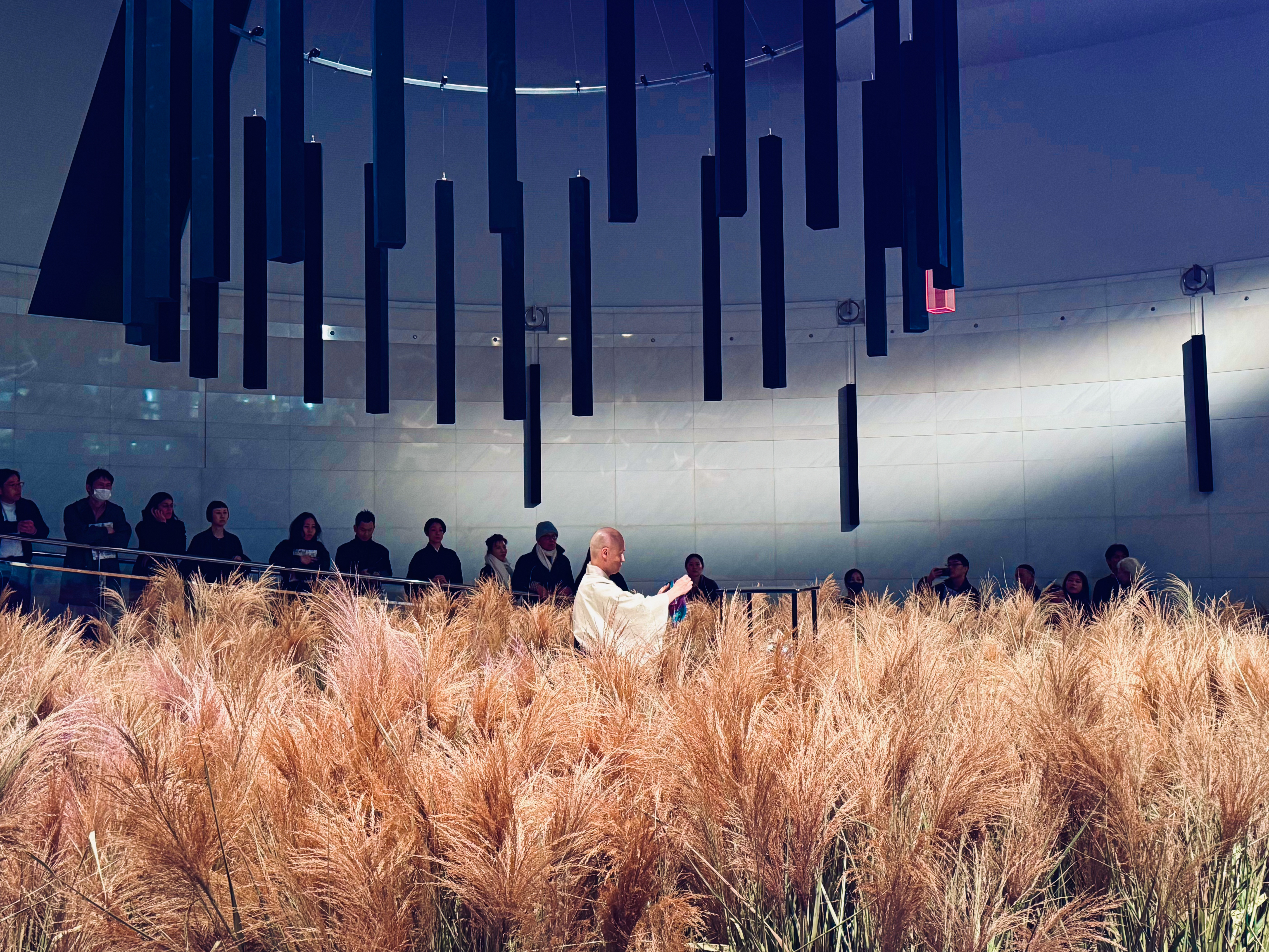 Alternative Computations