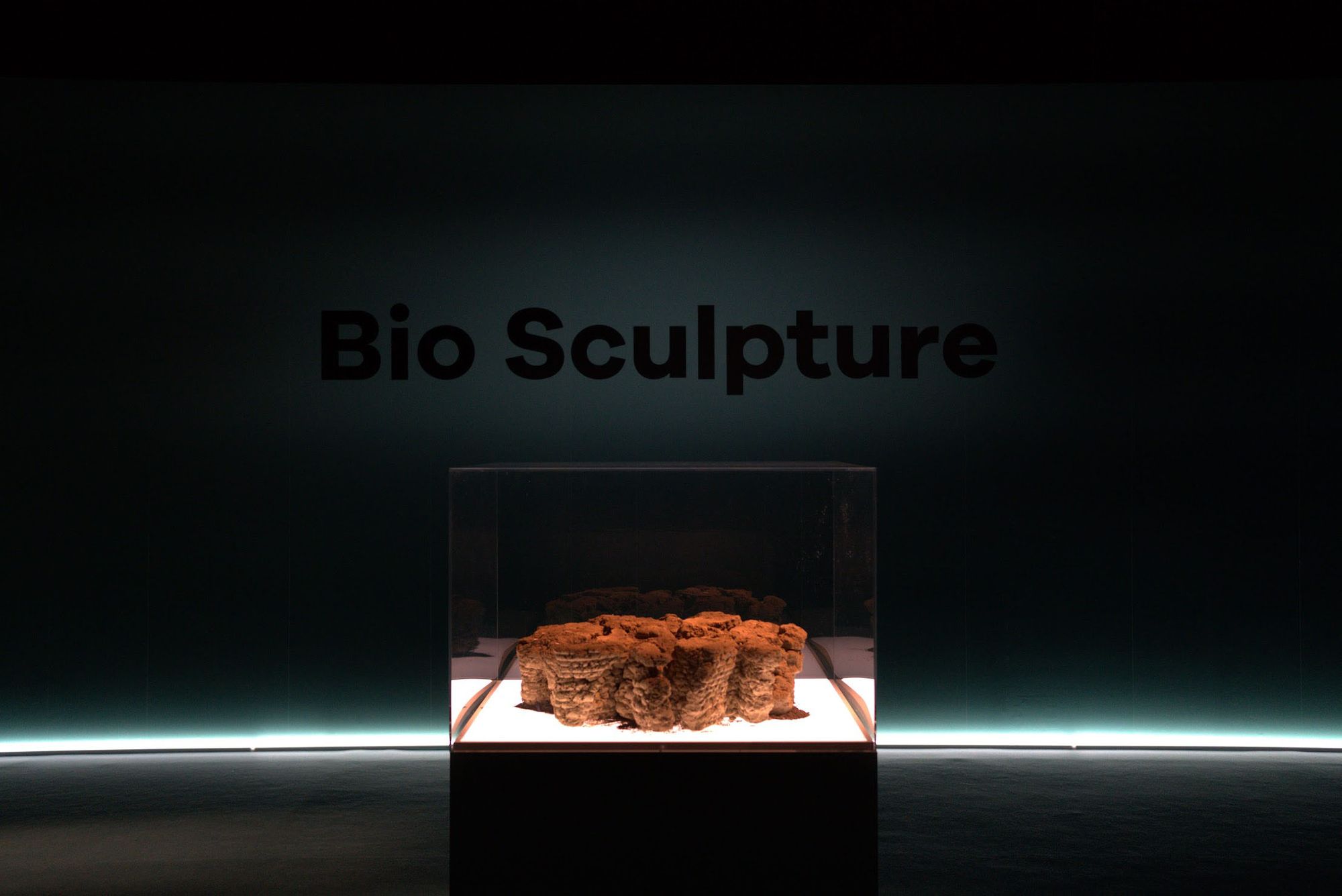 Bio Sculpture (Scene of a Future Boutique)