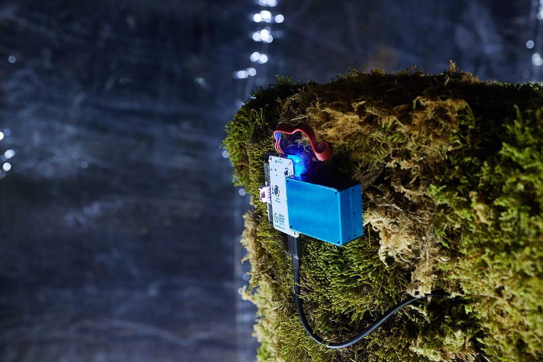 Bio Sculpture (Scene of a Future Portable Lab)